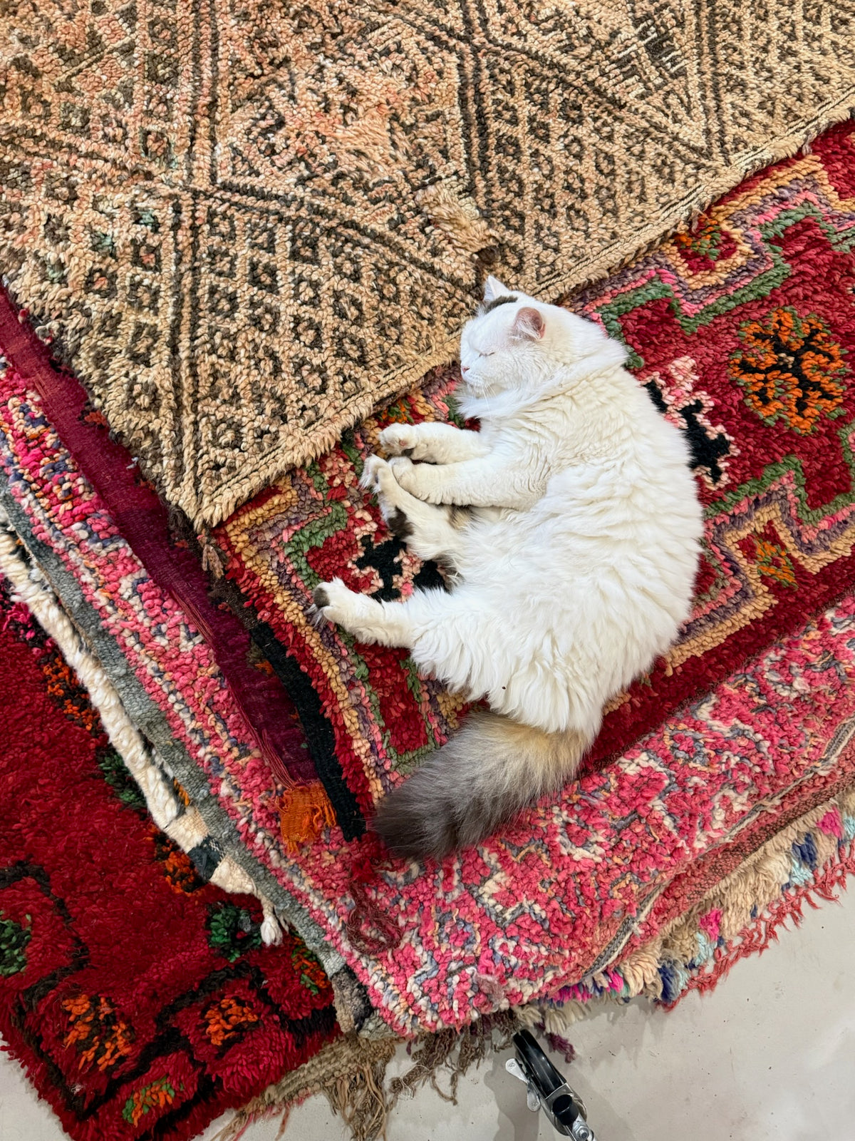 MOROCCAN BERBER RUGS