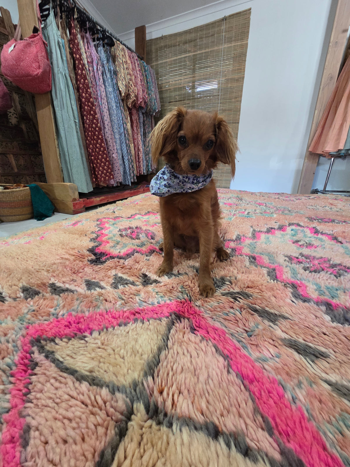 MOROCCAN BERBER RUGS