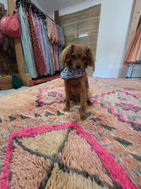 MOROCCAN BERBER RUGS